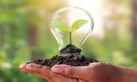 Sustainability