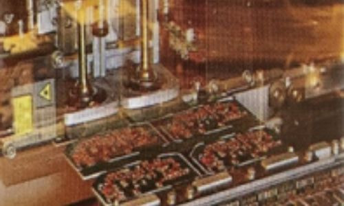 Circuit Board in the Handle Part