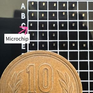 Microchip